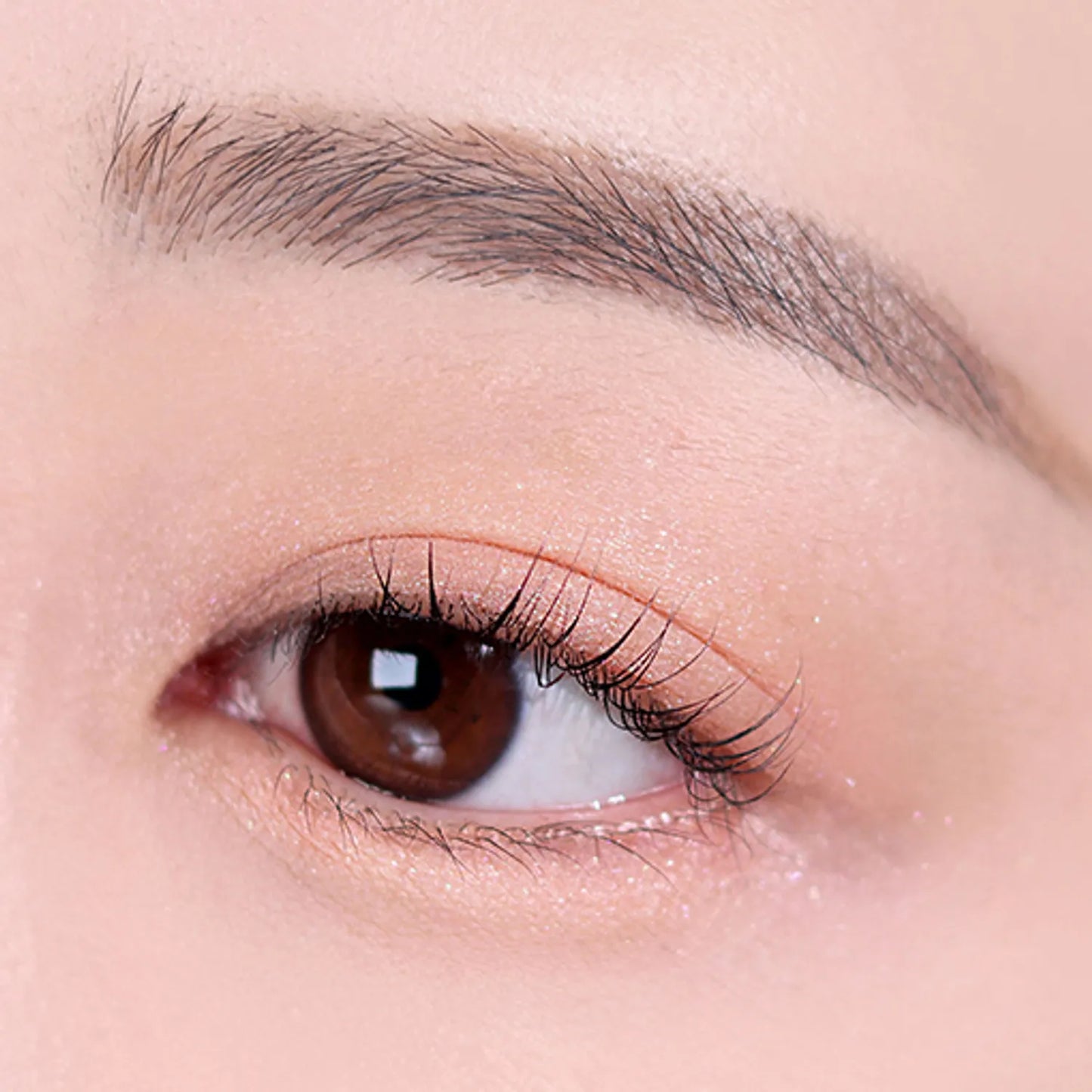 Too Cool For School - Protajo Pencil