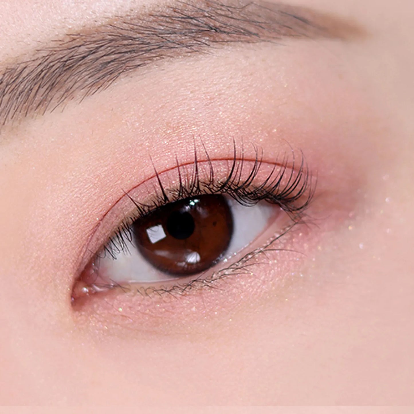 Too Cool For School - Protajo Pencil