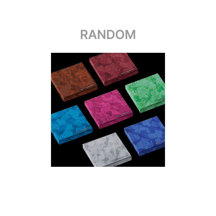 ENHYPEN - (PREORDER)(WEVERSE POB) THE SIN : VANISH (FUGITIVES Ver.)