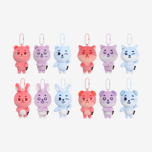 DAY6 - (PREORDER) DENIMALZ SECRET MINI PLUSH - The DECADE FINALE